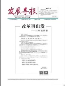 发展导报